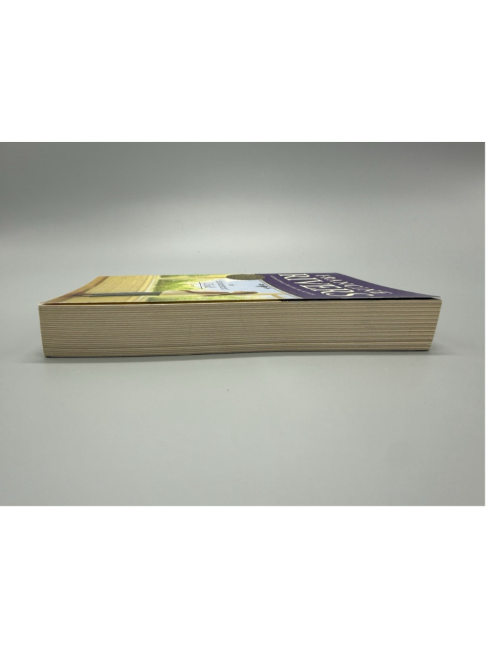 Francine Rivers The Atonement Child Trade Paperback Novel 1999 Tyndale - Picture 5 of 6